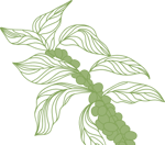 left leaf