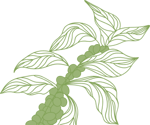 right leaf
