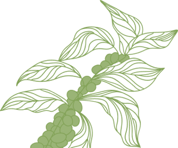 right leaf
