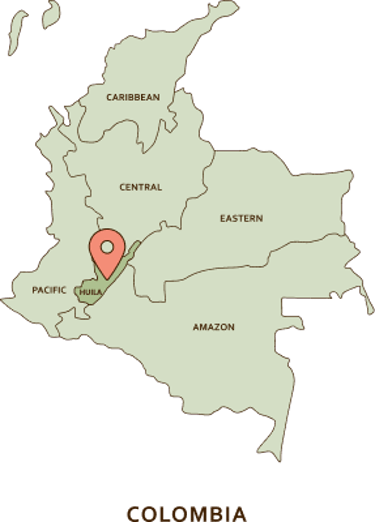 friele huila timana el tejar