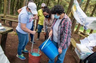 friele honduras hva innebaerer prosjektet