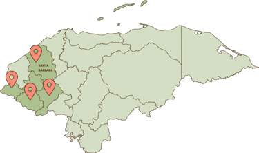 friele honduras santa barbara