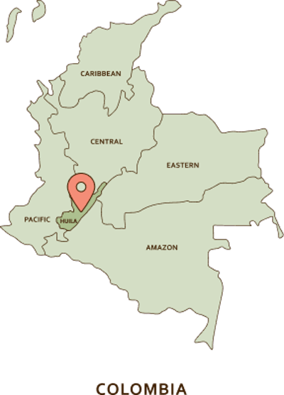 friele huila timana el tejar